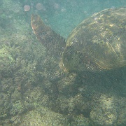Picture 115